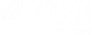 leogem logo | | innovation worx